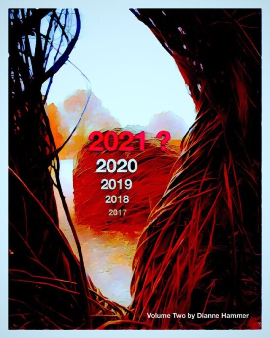Digital image looking through a keyhole of foliage to an object and trees beyond where, superimposed, are the years (each growing bigger) 2017, 2018, 2019, 2020, 2021?